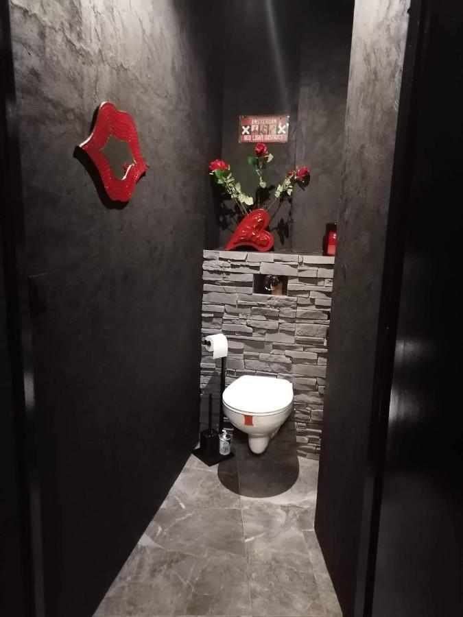 Loft Romantique Hammam Spa Privatif Playroom グルノーブル エクステリア 写真