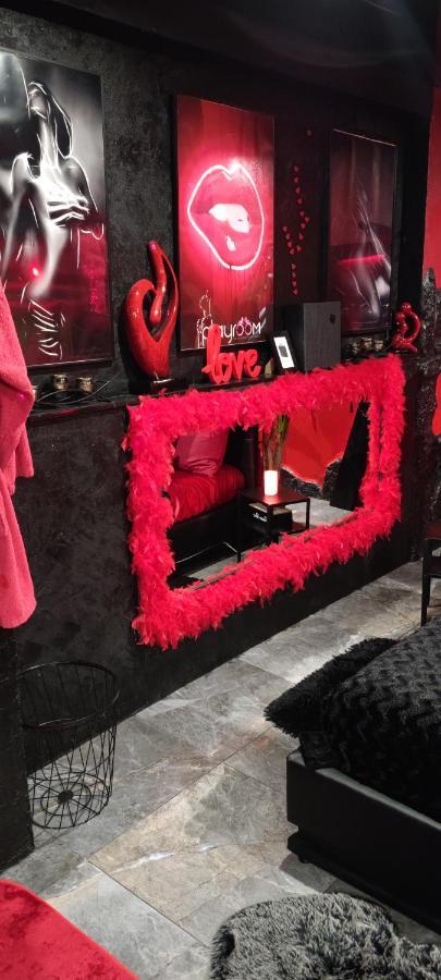 Loft Romantique Hammam Spa Privatif Playroom グルノーブル エクステリア 写真