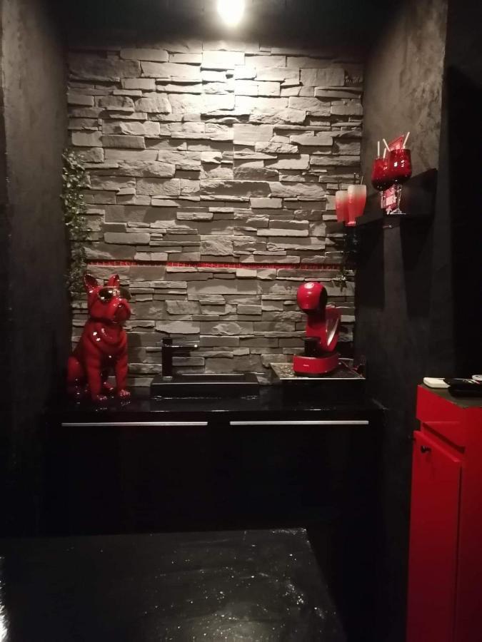 Loft Romantique Hammam Spa Privatif Playroom グルノーブル エクステリア 写真